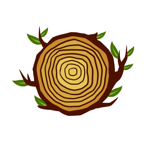 树干。树桩横截面。木材上的同心圆图案。图片下载