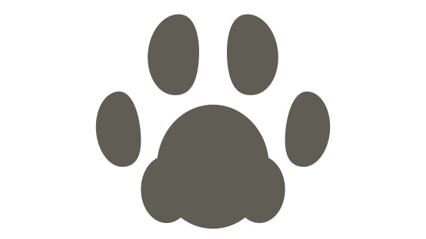猫足迹矢量插图前面图片下载