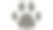 猫足迹矢量插图前面图片下载