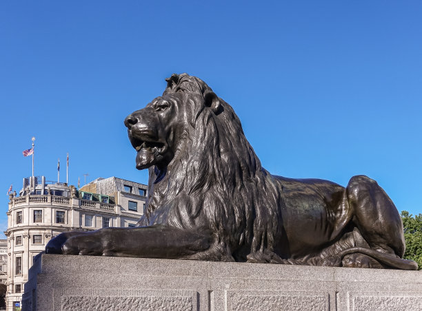 英国伦敦特拉法加广场纳尔逊纪念柱上的狮子雕像特写图片下载