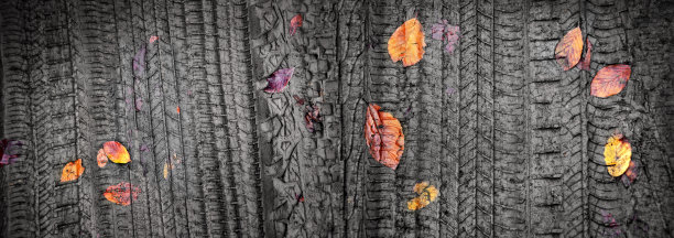 五颜六色的秋叶和乡间土路上的轮胎印图片下载