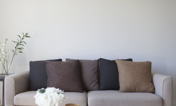 客厅沙发上布置了一组枕头图片下载