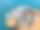 特写用鲍鱼壳清洁和光泽准备做珠宝。图片下载