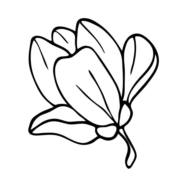 木兰2 线性图片下载