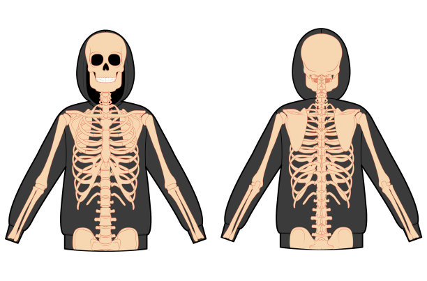 骷髅服连帽衫上的人骨图片下载