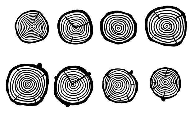 树干。树桩横截面。木材上的同心圆图案图片下载