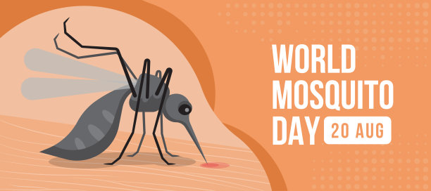 世界蚊子日-近距离蚊子在皮肤上喝血人体在软橙色背景矢量设计图片下载