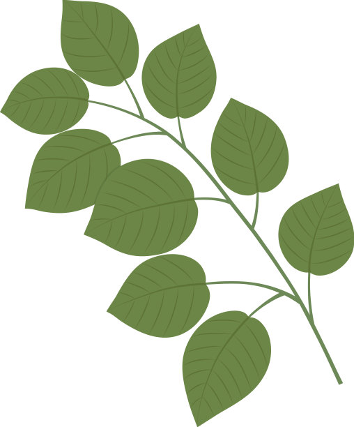 带有绿色植物的图案图片下载