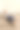 7个月大的男婴穿着小绅士的衣服，打着领结躺在木地板上图片下载