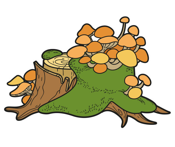 大而低的树桩具寄生过度生长图片下载