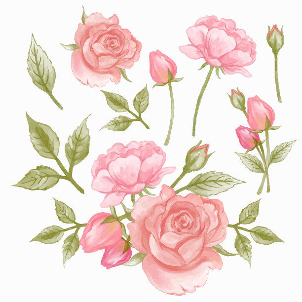 美丽的花束和花叶装饰在水彩风格图片下载