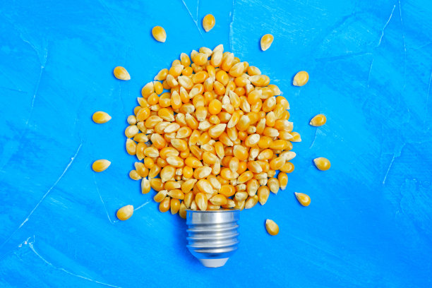 蓝色的爆米花粒做成灯泡形状图片下载