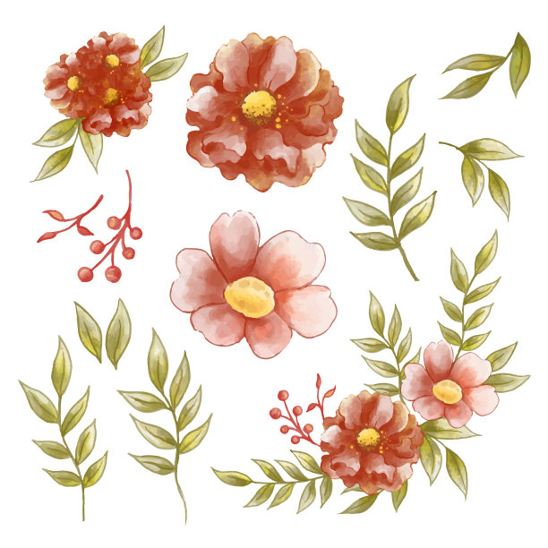 美丽的花束和花叶装饰在水彩风格图片下载