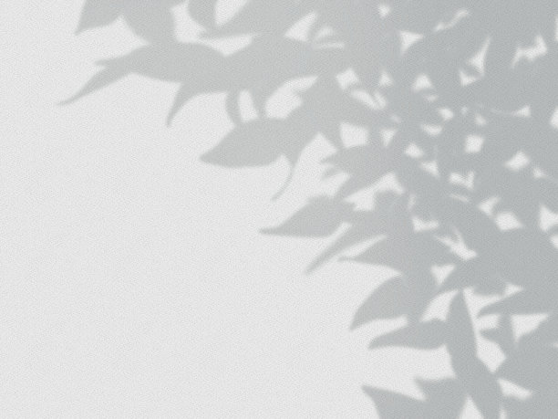 树影在墙上的背景图片下载