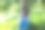 年轻的口渴的红发妇女在夏天的公园里用瓶子喝水。图片下载