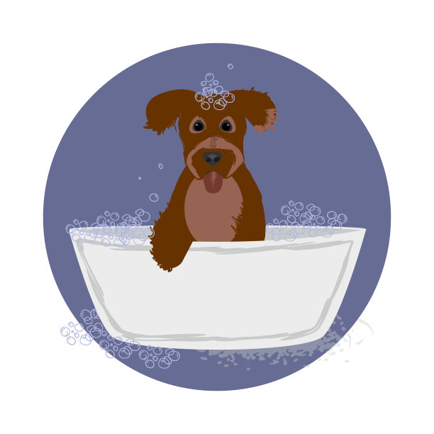 狗狗洗澡图片下载