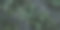 创意热带树叶背景，图片下载