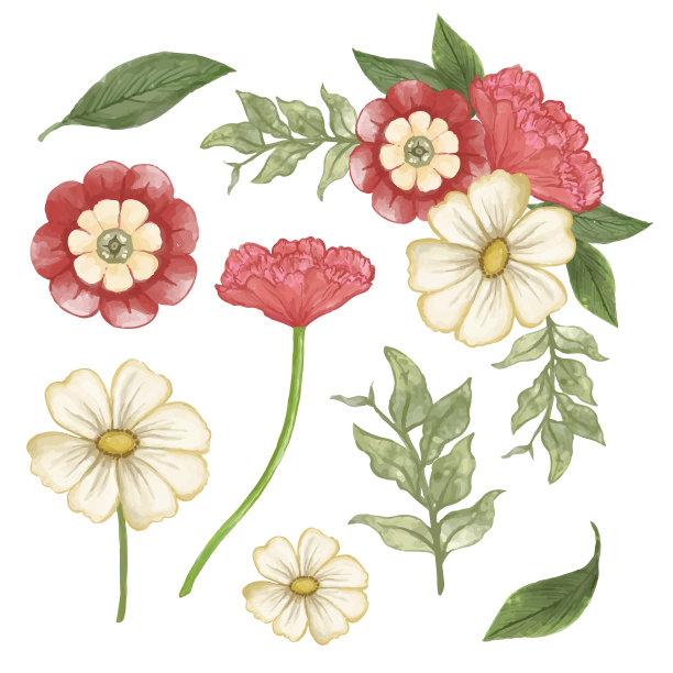 美丽的花束和花叶装饰在水彩风格图片下载