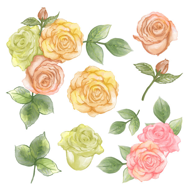 美丽的花束和花叶装饰在水彩风格图片下载