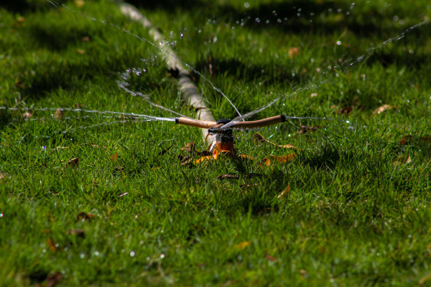 草坪浇水图片下载