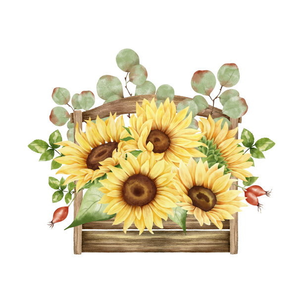 水彩向日葵花篮图片下载