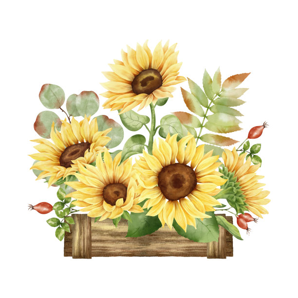 水彩向日葵花篮图片下载