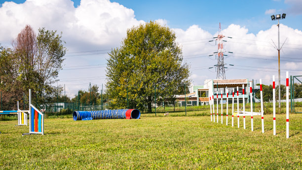 为训练狗而装备的区域。在围栏区训练狗。 设有隧道、陡坡、滑梯、滑杆和跳高的障碍赛。图片下载