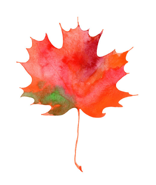 五彩缤纷的秋天枫叶。手绘水彩插图。孤立在白色背景。图片下载
