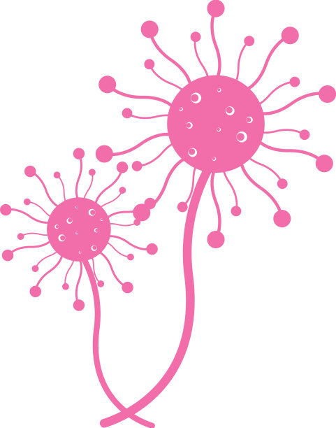 蒲公英的花朵图标图片下载