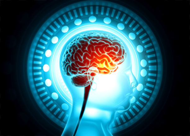 人类头部解剖技术背景图片下载