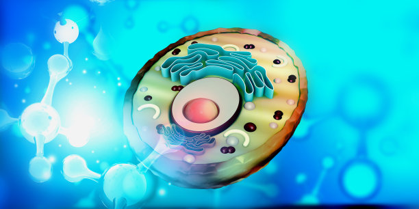 科学背景下的细胞解剖图片下载