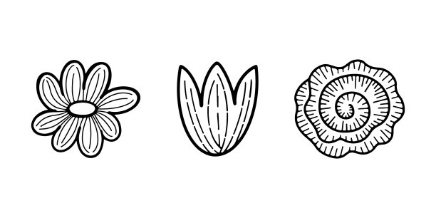 一套孤立的单一涂鸦花元素图片下载