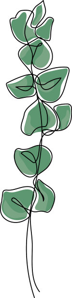 桉枝在现代单线艺术风格图片下载