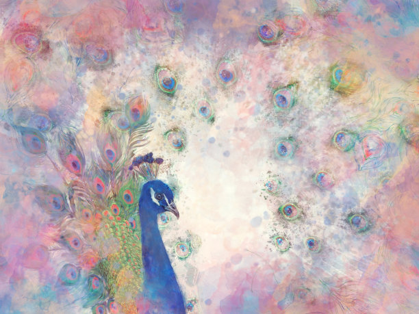 孔雀水彩数码画图片下载