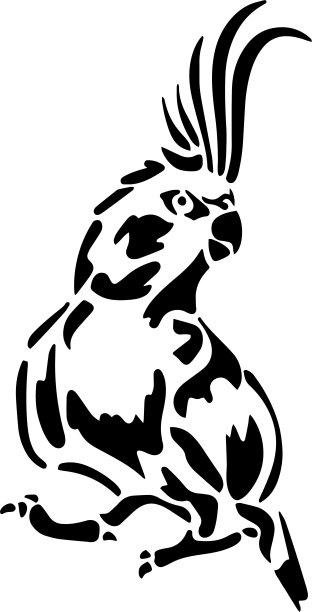 鹦鹉向量，模板，黑色和白色图片下载