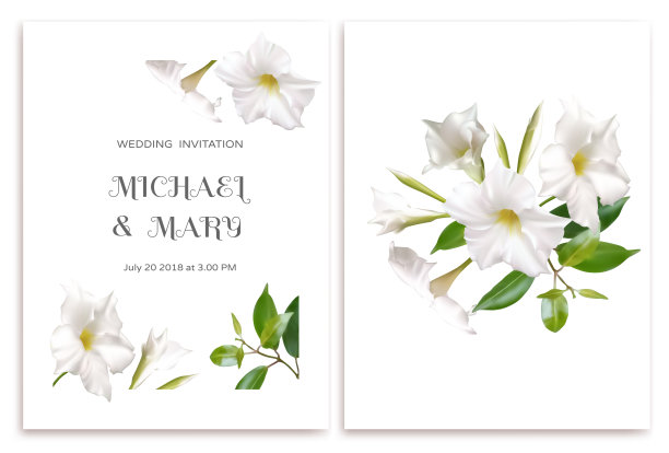 白色的花朵。花的背景。叶子。婚礼的邀请。味蕾。绿色的。图片下载