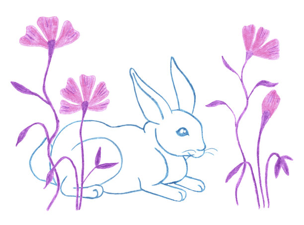 插图隐藏兔子背后的花手绘彩色铅笔孤立在白色背景图片下载