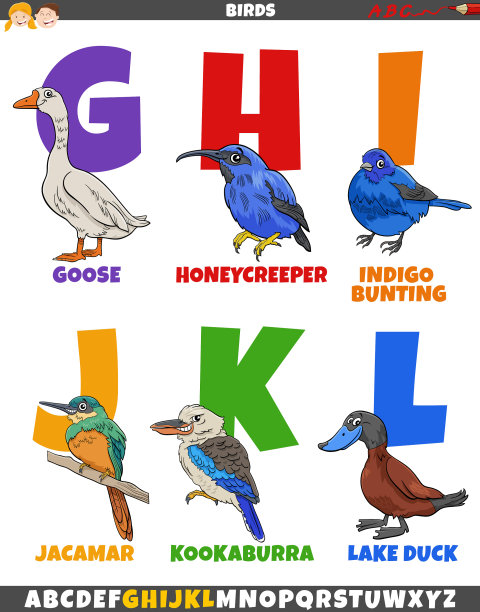 带有卡通小鸟的教育字母表图片下载