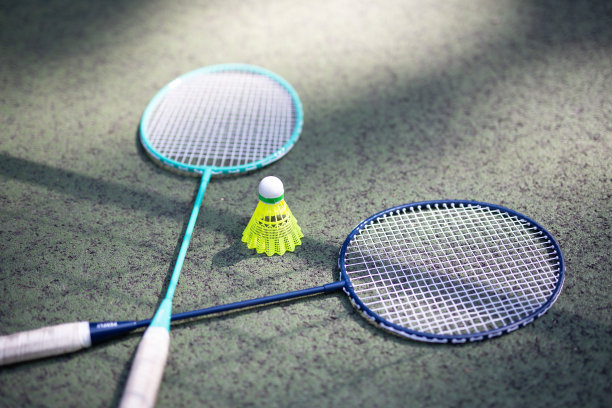 草地上的羽毛球拍图片下载