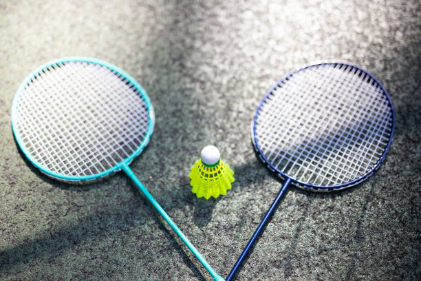 草地上的羽毛球拍图片下载