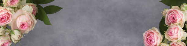 美丽的粉红色玫瑰花束在灰色图片下载