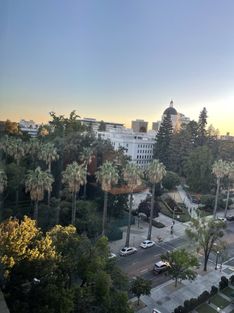 日落照亮了城市的建筑图片下载