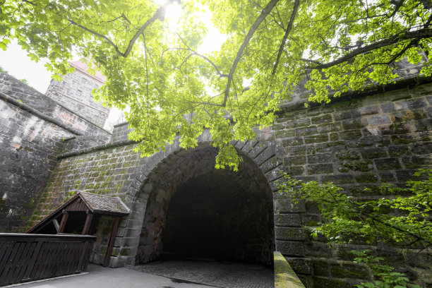 以自然为商业理念的城堡图片下载