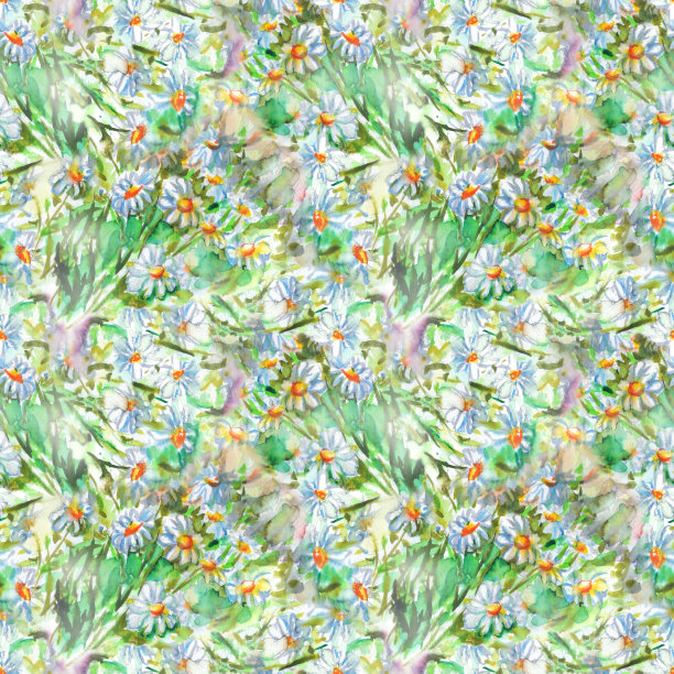 水彩白蓝色小洋甘菊雏菊花和绿色植物无缝图案纺织纹理背景图片下载