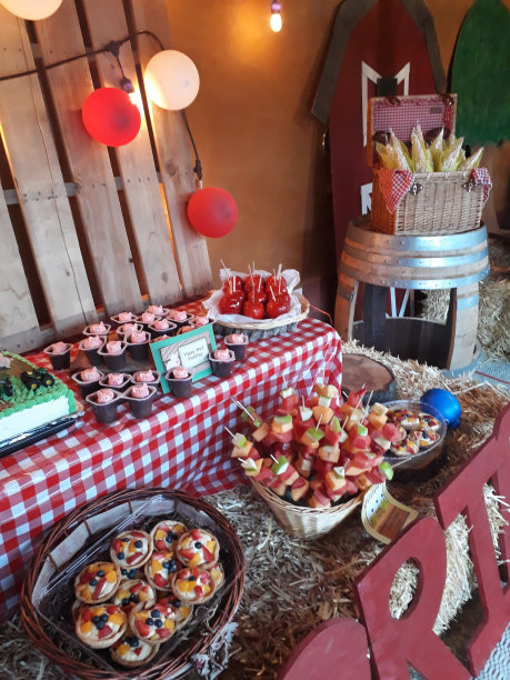西部牧场风格的派对装饰和食物图片下载