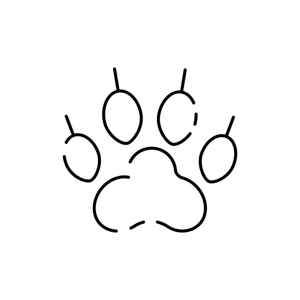 野营，旅行和野餐设备图标。矢量秋天或夏天远足，荒野，冒险图标。爪痕迹图片下载