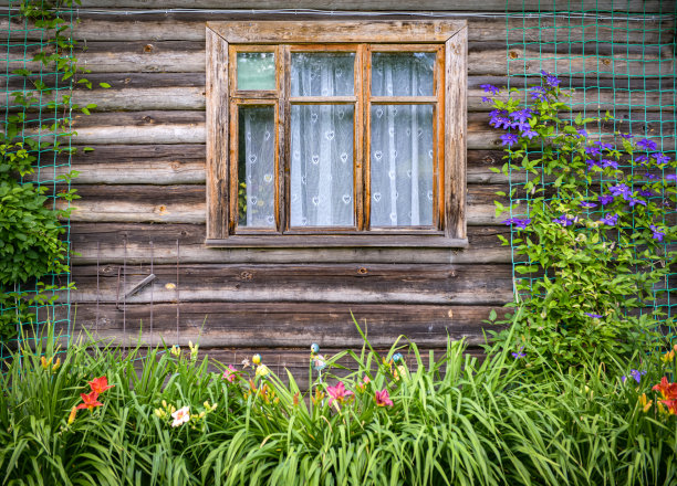 美丽的观赏花园(房子)图片下载