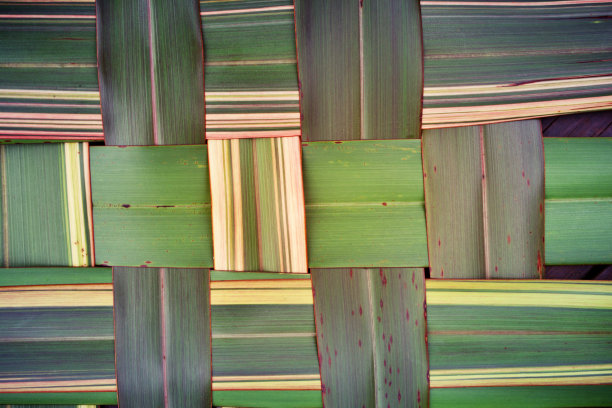 原生新西兰亚麻植物编织背景图片下载