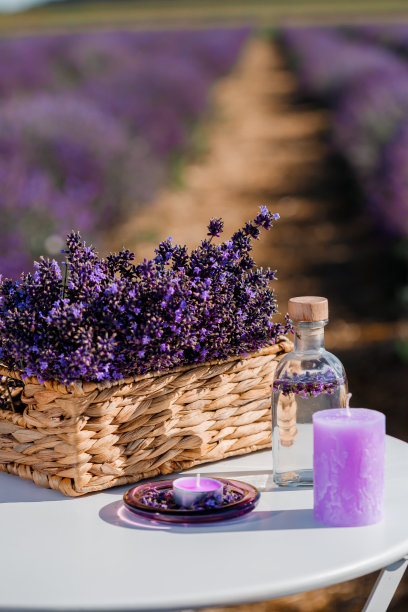 在普罗旺斯的田野里，篮子里放着美丽的薰衣草，薰衣草水和蜡烛。收获季节图片下载
