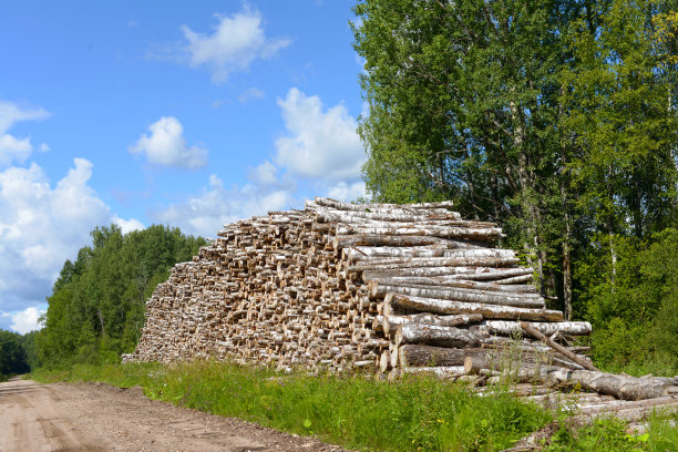 木材工业图片下载